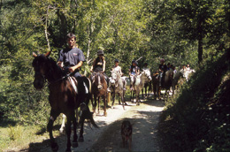 Equestrian center