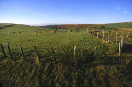 Le plateau de l'Aubrac