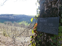 Mine de vin