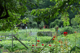 Les jardins des Clôts