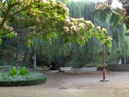 La source Saint-Augustin