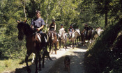 Les activités sport et nature